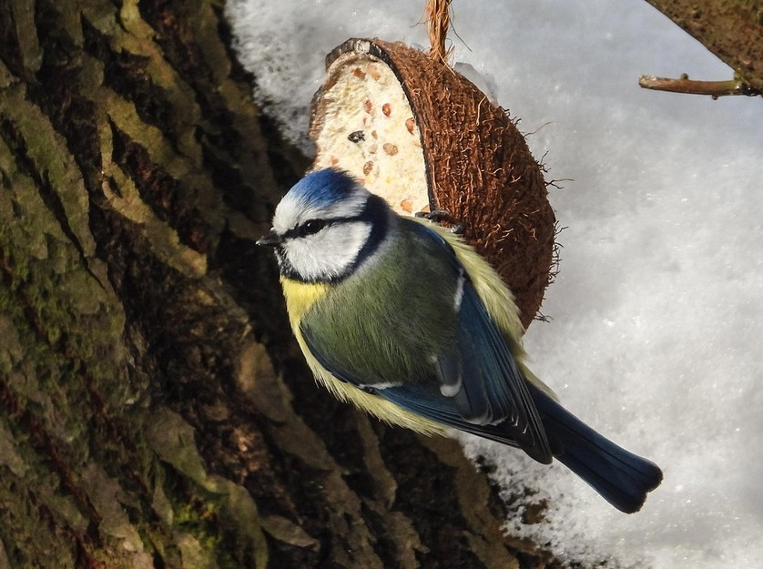 Snímek obrazovky 2026-02-10 014258